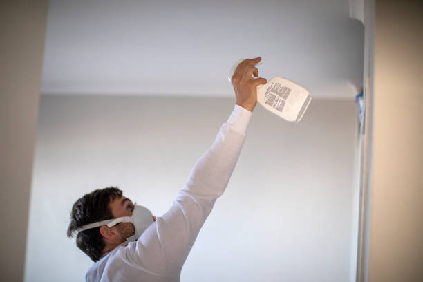 Best Mold Removal Company Near Me  in East Dublin, GA