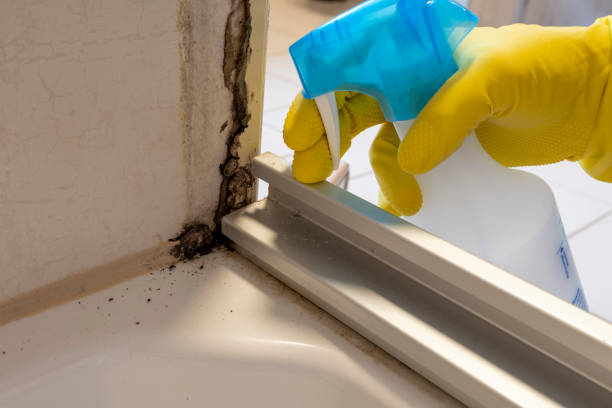 Best Residential Mold Removal  in East Dublin, GA