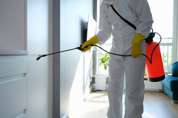 Mold Testing and Removal in East Dublin, GA