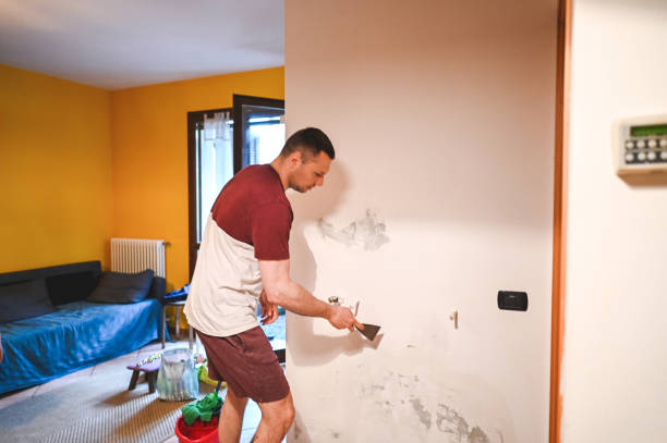 Best Affordable Mold Removal  in East Dublin, GA